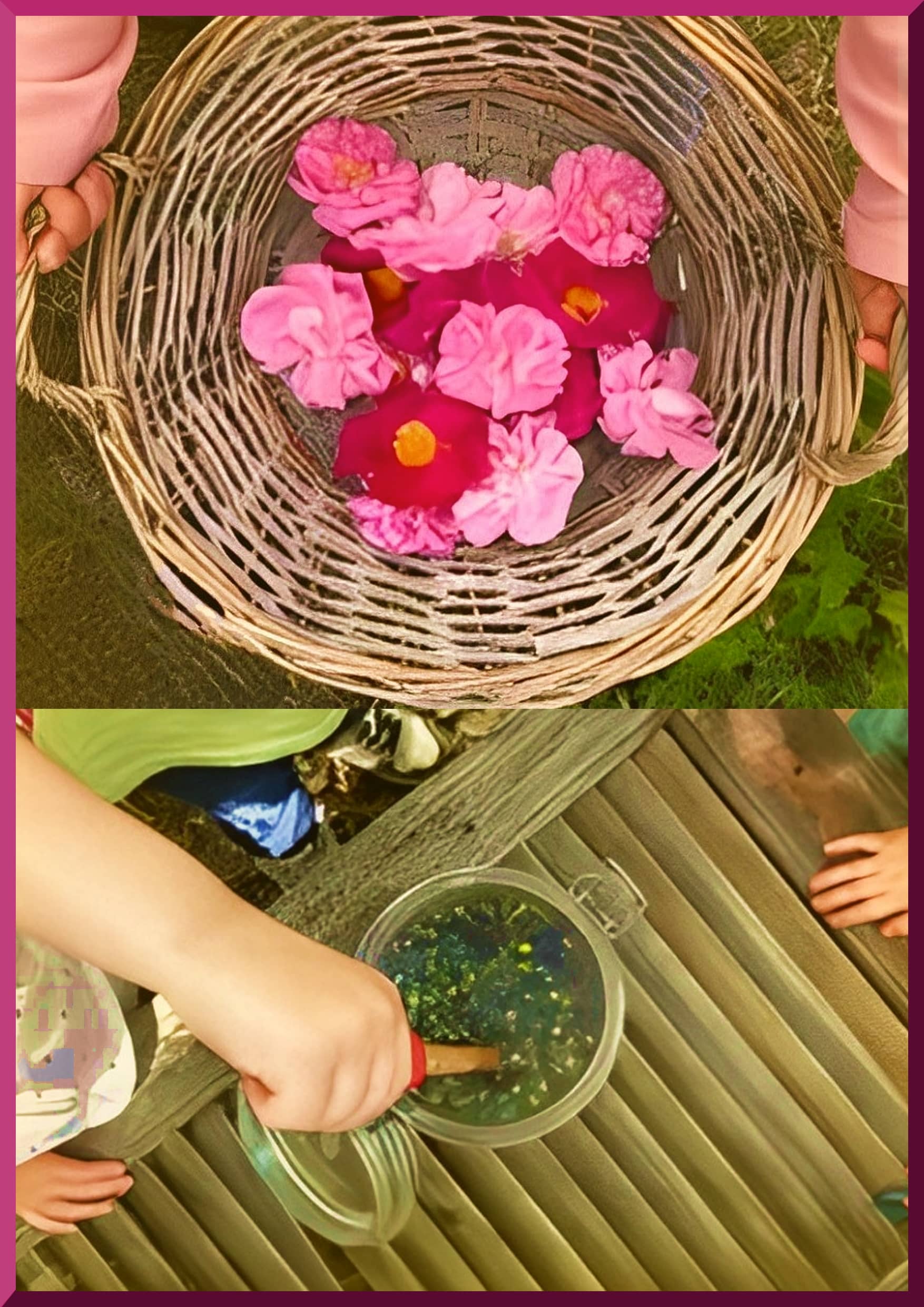 Des enfants participants aux ateliers pédagogiques avec récoltes de fleurs et conception d'un macérât naturel